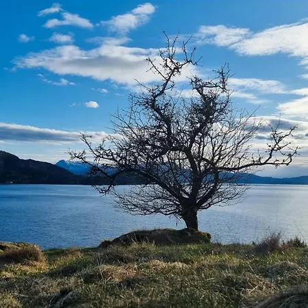 Historic Farm With Sea View Over Bjornefjorden Tveit