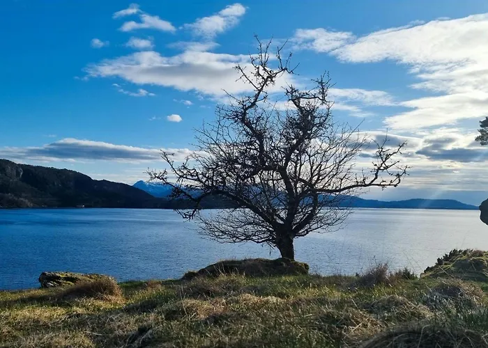 Historic Farm With Sea View Over Bjornefjorden Tveit (Vest-Agder)
