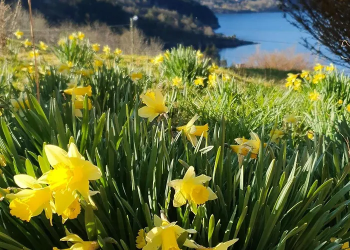 Historic Farm With Sea View Over Bjornefjorden Feriehus