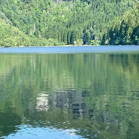Historic Farm With Sea View Over Bjornefjorden Tveit (Vest-Agder)