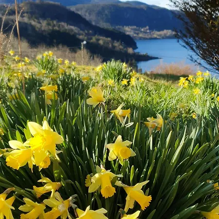 Historic Farm With Sea View Over Bjornefjorden Дом отдыха